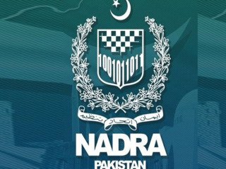 The Top Skills NADRA Looks for in Junior Executives Jobs in 2024